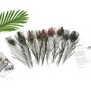 10Pcs 25cm Natural Peacock Tail Feathers Costume Party Wedding DIY Fashion Craft