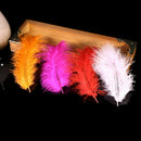 50pcs/set turkey feathers 10-15cm chicken plumes for carnival diy craft decor OZ