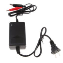 6V 2 Amp Smart Motorcycle Car E-bike Battery Charger