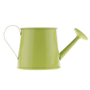 Pastoral Style Colorful Metal Tin Flower Pot Mini Bonsai Watering Can Green