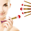 5pcs Professional Blending Makeup Comestic Brush Foundation Blusher Brushes