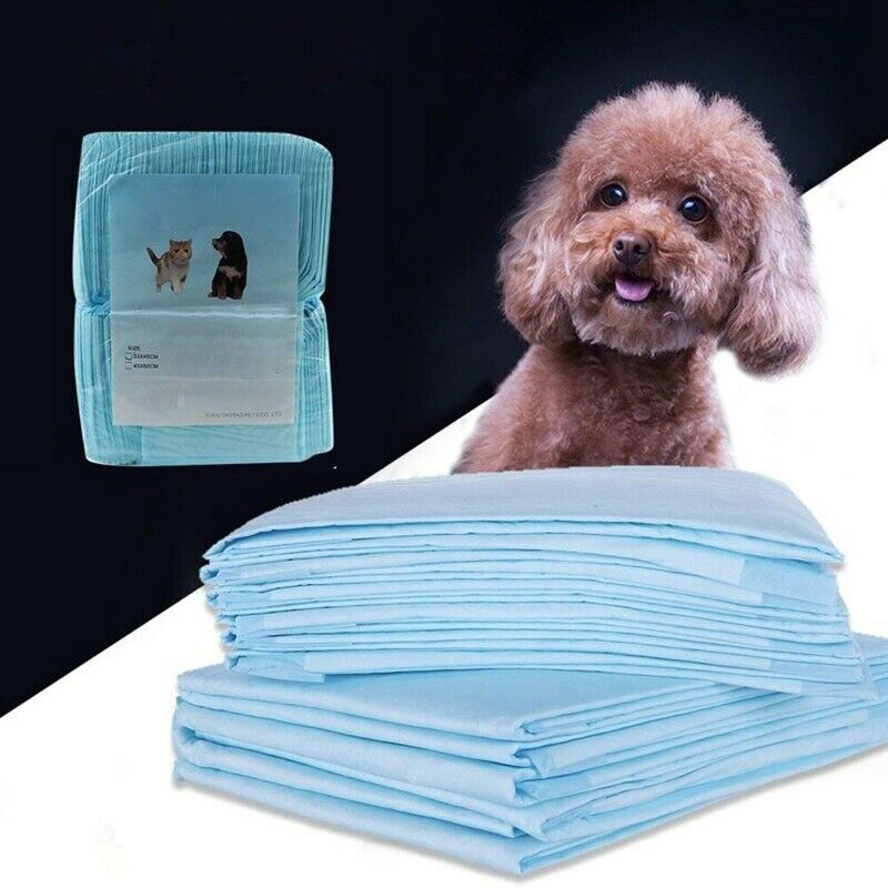 20PCS Multi - Size Pet Diaper Pet Dog Super Absorbent Urine Training Pad De