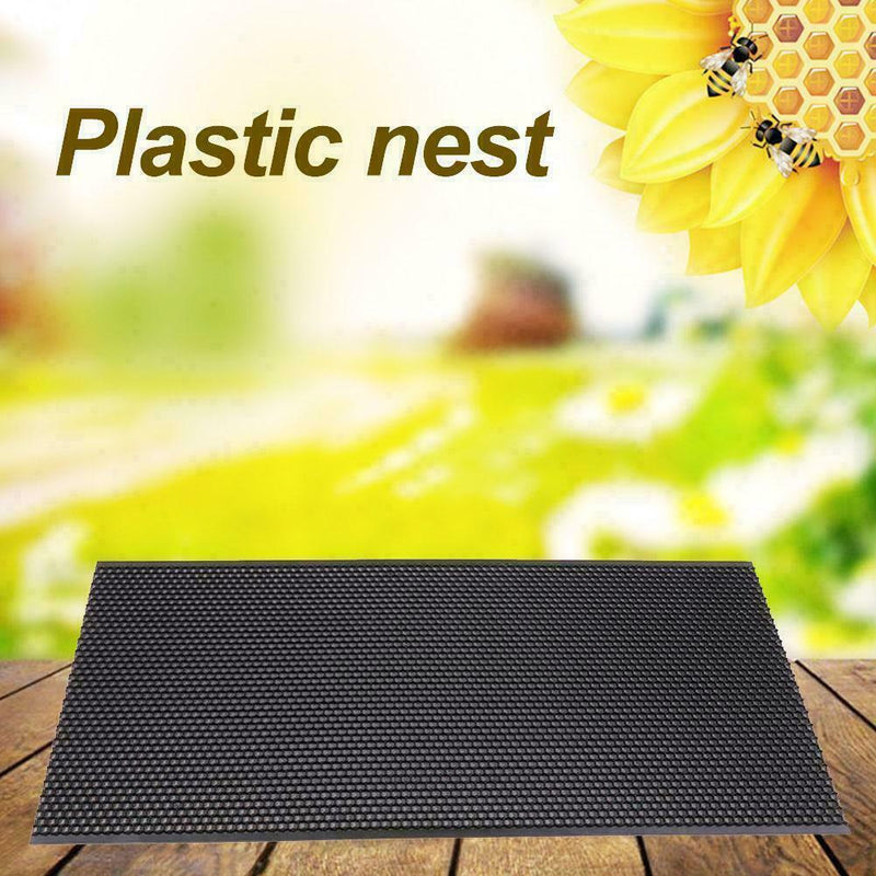 Beehive Brood Bee Wax Honeycomb Apis Cerana Box Foundation J3N5 Beeswax She G0C6