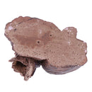 Landscape Decoration Reptile Turtle Water Dish Lizard Food Bowl