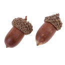 10X Rustic Natural Dried Flowers Acorns Table Ornaments Creative Decorations
