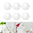 6x Water Planting Plant Pot Hydroponic Vase Micro landscape DIY Bottle Glass
