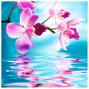 5D DIY Diamond Painting Flowers Full Drill Embroidery Cross Stitch Home Art