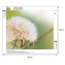 Dandelion DIY 5D Diamond Painting Embroidery Craft Cross Stitch Home Decor