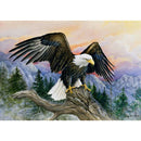 5D DIY Full Drill Diamond Painting Eagle Cross Stitch Embroidery (C1206)