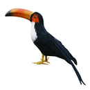 Artificial Black Toucan Bird Realistic Taxidermy Home Garden Decor 35cm