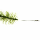 2pcs Carp Fishing Rigs Ready Made Hair Rigs Terminal Tackle Hook Weed Line  Y9W2