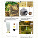 Queen Rearing Cupkit System Bee Beekeeping Catcher & 100 Cups Y6B6 Cell Box F7L7
