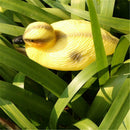 3x Lifelike Floating Ducks Mallard Hunting Shooting Decoy Pond Rivers Decor