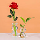 Glass Bubble Flower Vase Glass Planter Hydroponics Air Plant Bulb 2 Balls