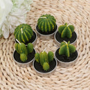 6Pcs Mini Tealight Candles Long Burning Unscented Succulent Tea Light Home Decor