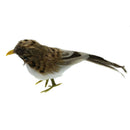 Small Artificial Bird Feather Realistic Sparrow Garden Tree Ornament 15cm