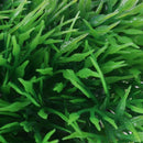 Fish Tank Emulational Underwater Plant Grass, Green B2H9
