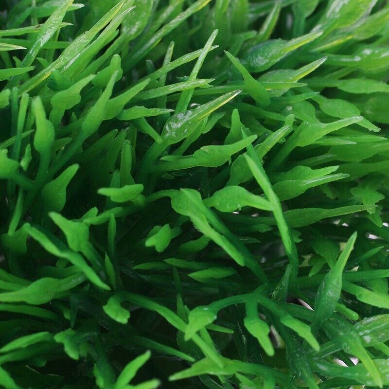 Fish Tank Emulational Underwater Plant Grass, Green B2H9