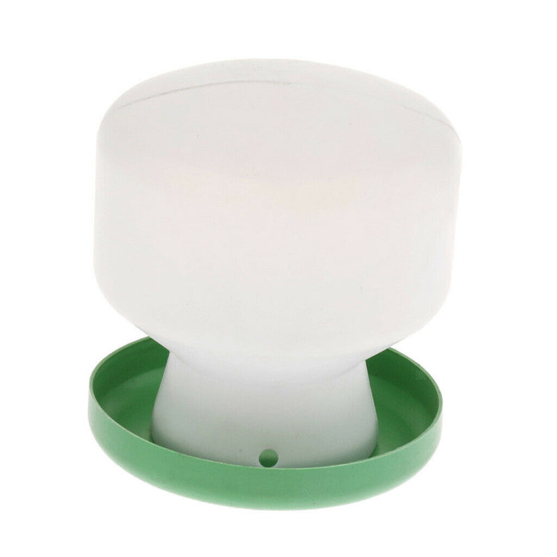 Pigeon Birds Supplies Water & Food Tools Small Parrots Pigeons Feed Feeding