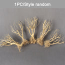 Terrarium Environments Small Aquarium Driftwood Snakes Landscaping Fish Tanks