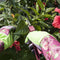 Long Sleeve Gardening Gloves Pruning Thornproof Garden Gloves With Extra Lo