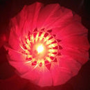 Dark Night Colorful LED Badminton Shuttlecocks Lighting Feather Sport Ba MRY