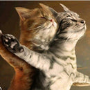 30cmx30cm Cat Couples 5D Diamond DIY Painting Craft Kit Home Hanging Decor