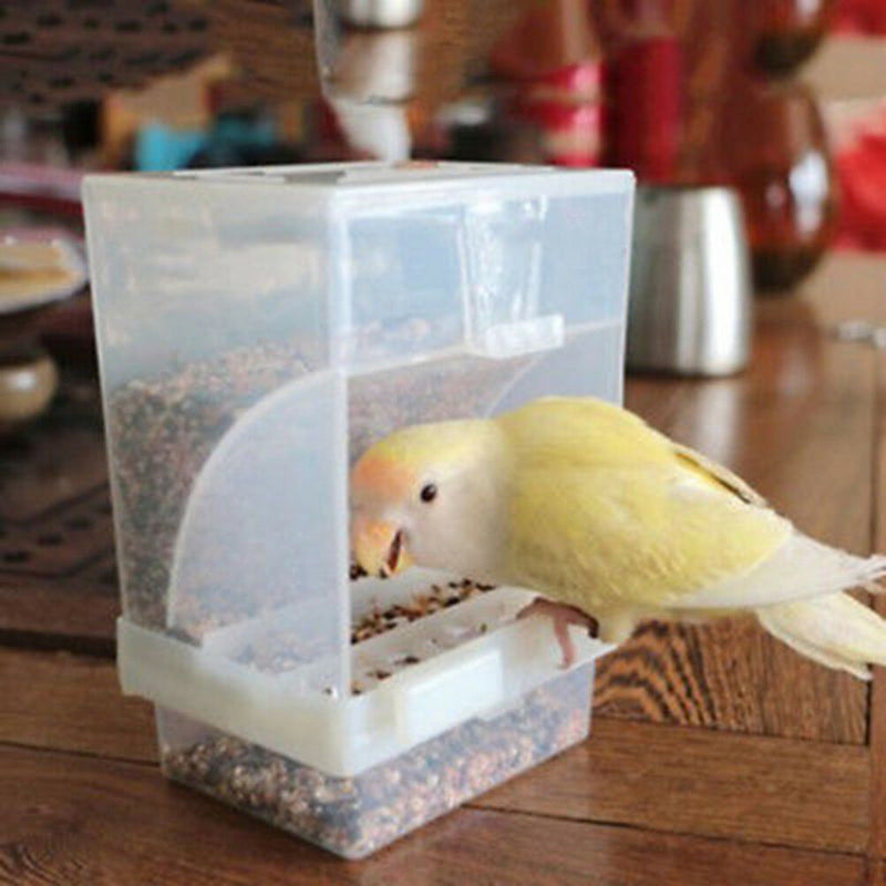 Bird Poultry Feeder Automatic Acrylic Food Container Parrot Pigeon Splash Proof!