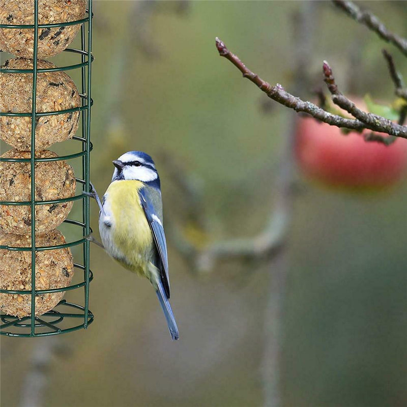 For Tit Small Wild Birds Dark Green Pet Feeder Bird Feeder Food Dispenser