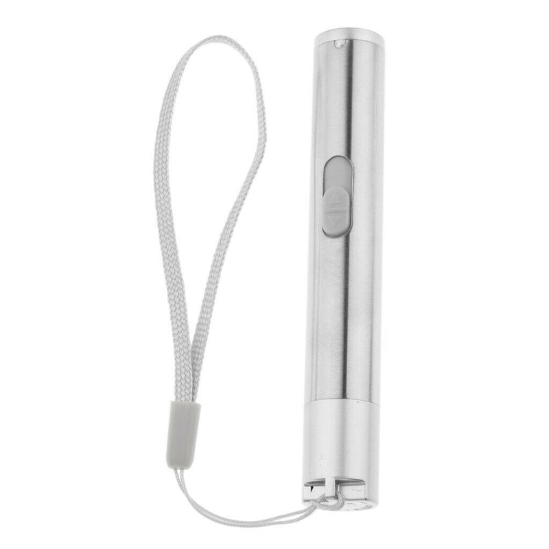 USB Mini Lighting Torch - Pen Size Stainless Steel Waterproof LED Flashlight -