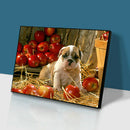 Dog Animal 5D DIY Diamond Painting Full Round Drill Wall Picture (HY038)