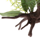 2 PCS Aquarium Reptile Tortoise Gecko