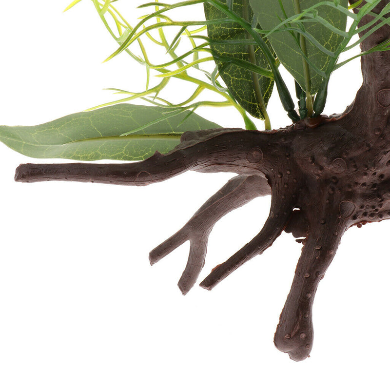 2 PCS Aquarium Reptile Tortoise Gecko