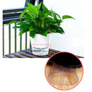Self-Watering Planters Indoor/Outdoor Yard Garden Flower Herb Round Pots