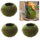 3Pcs Green Moss Ball Decorative for Home Decor, Flowers Planters, Trays,