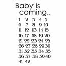 3x Multi-colors Baby is Come Print Cloth Stickers Birth Countdown for T-s DYT