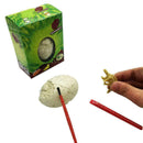 Dinosaur Egg Excavation Kit Archaeology Dig Up History Skeleton Kid Toys W4 B3Z6