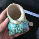 9-12cm Natural Green Shell Conch Coral Sea Snail Starfish Fish Tank Decoration