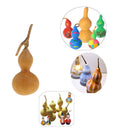 10Small Natural Dried Gourds Table Ornament