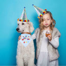 Glitter Birthday Party Hat with Bandana Neck Scarf Ties for Your Pet Dog Cat