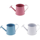 3pcs Pastoral Style Flower Watering Can Gardening Sprayer Kettle Photo Props
