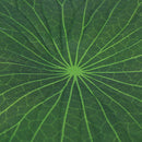 Pack Of 9 Artificial Floating Foam Lotus Leaves Water Lily Pads Ornaments GrR3C
