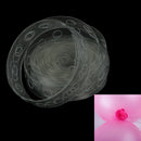5M Plastic Balloons Chain 410 Holes Wedding Birthday Balloons Chain Arch DecorM&