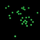 100pcs Soft Luminous Fishing Beads Sea Fishing Lure Float Tackl Floating P6 I4O7