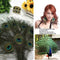10pcs Real Natural Peacock Tail Eyes Feathers Wedding Party Decoration Fest K9S1