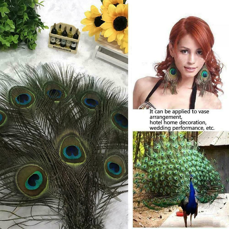 10pcs Real Natural Peacock Tail Eyes Feathers Wedding Party Decoration Fest K9S1