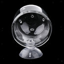 5Pcs Aquarium Fish Tank Feeding Glass Cup Aquatic Plant Crystal Holder Feeder