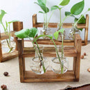 Glass containers, plant glass containers, modern decorative glass pots, hyd