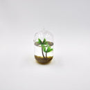 Green Plastic Coconut Tree Aquarium Plants Ornament Decoration for Fish Tank