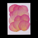 12pcs Real Pressed Dried Flower Rose Petals Scrapbooking Embellishments Pink